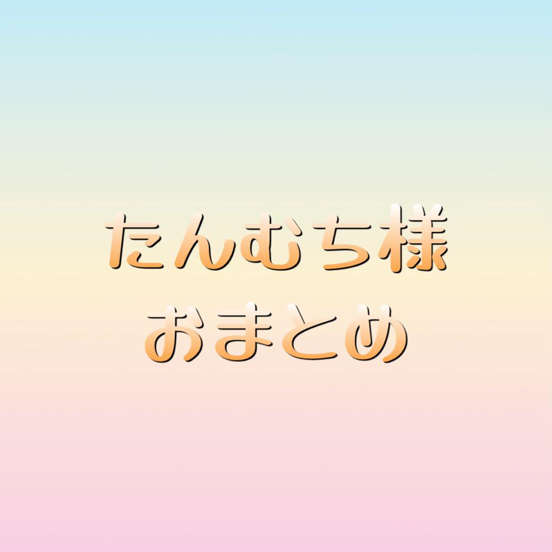 たんむち様 おまとめ 大人気