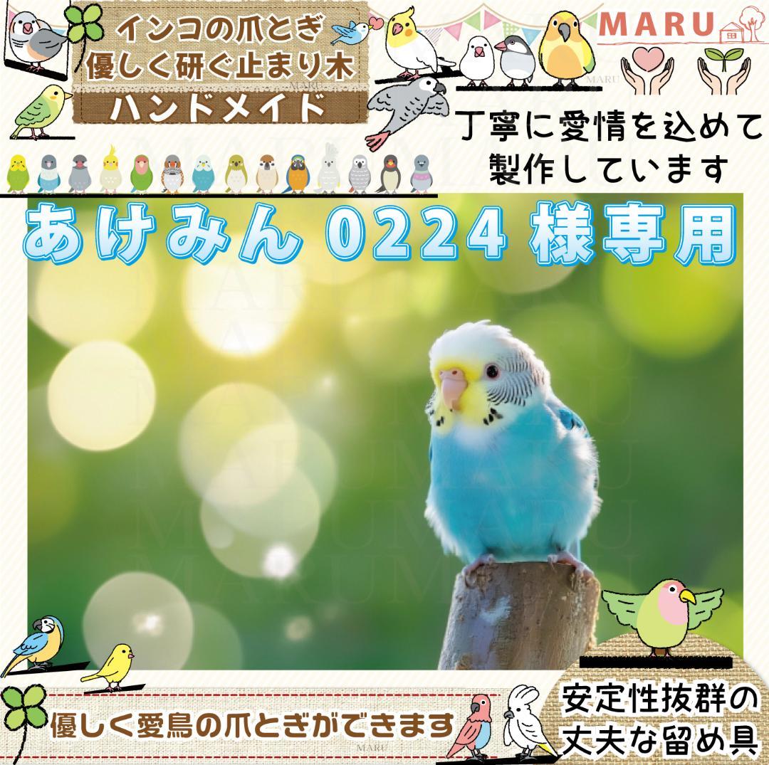 2個 おとなしく フライングタイガー バードバス 水浴び器 お風呂 小鳥 インコ 文鳥 売買されたオークション情報 落札价格 【au  payマーケット】の商品情報をアーカイブ公開