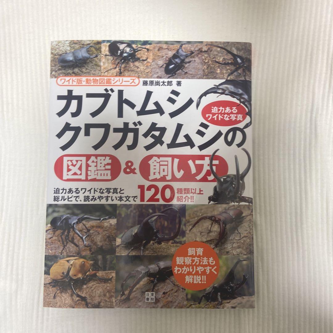 市川崑「悪魔の手毬唄」完全資料集成 惨