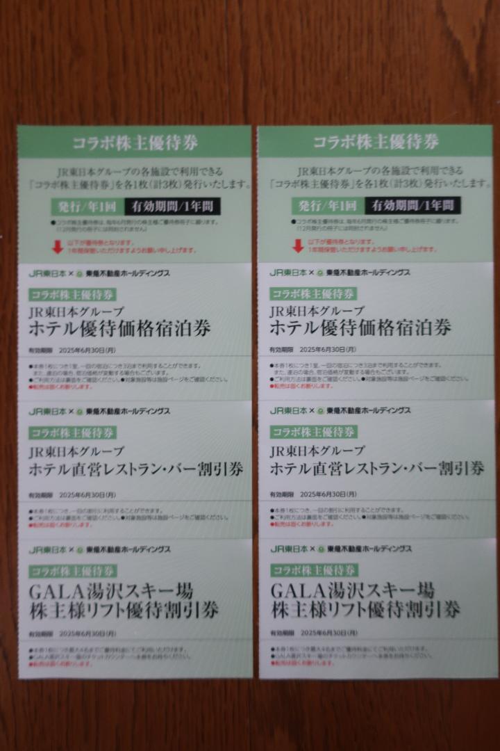 JR東日本×東急不動産 コラボ株主優待券 計6枚 2025年6月