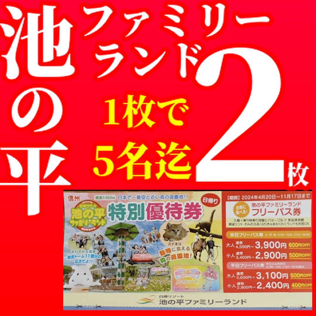 池の平ファミリーランドフリーパス割引券白樺リゾート白樺湖z46