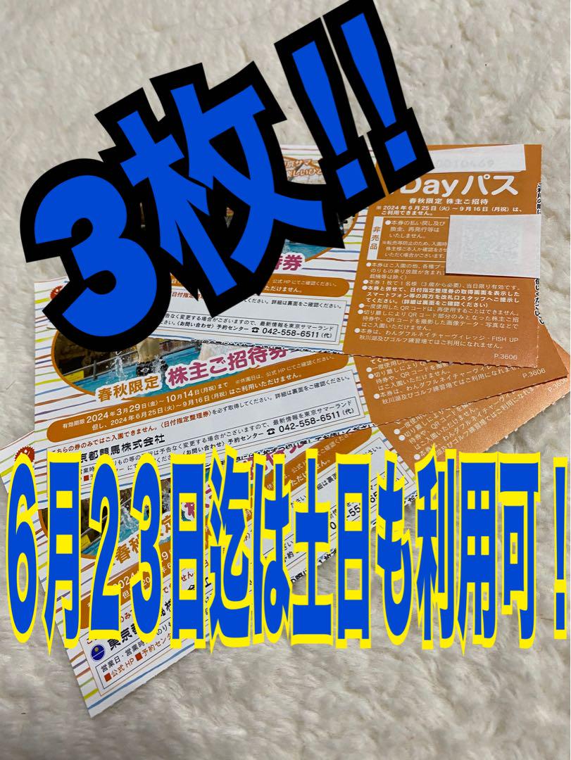 サマーランド 株主優待券 ３枚 春秋券 土日も利用可能 フリーパス チケット