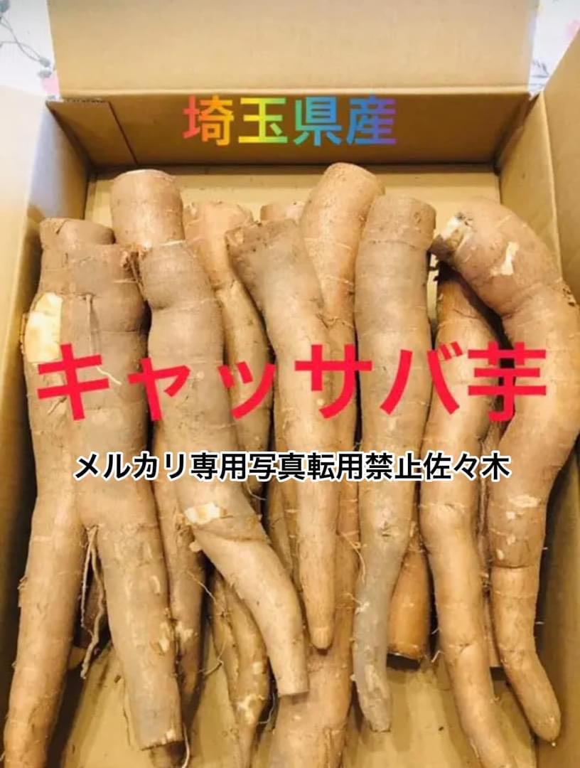 国産埼玉県産キャッサバ芋1キロサービスあり 佳い