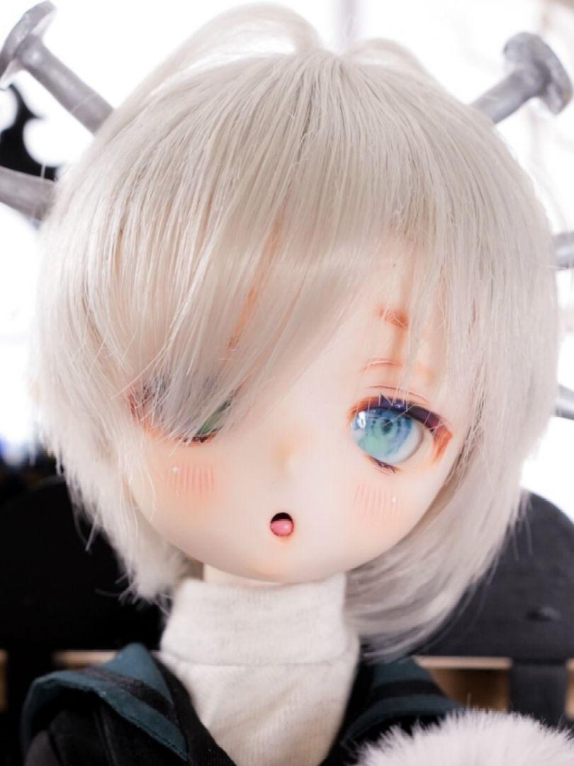 SHIROSHIPPO】DDH-01 SW肌 カスタムヘッド＋アイ＋ウィッグ＋おまけ衣装類 ※