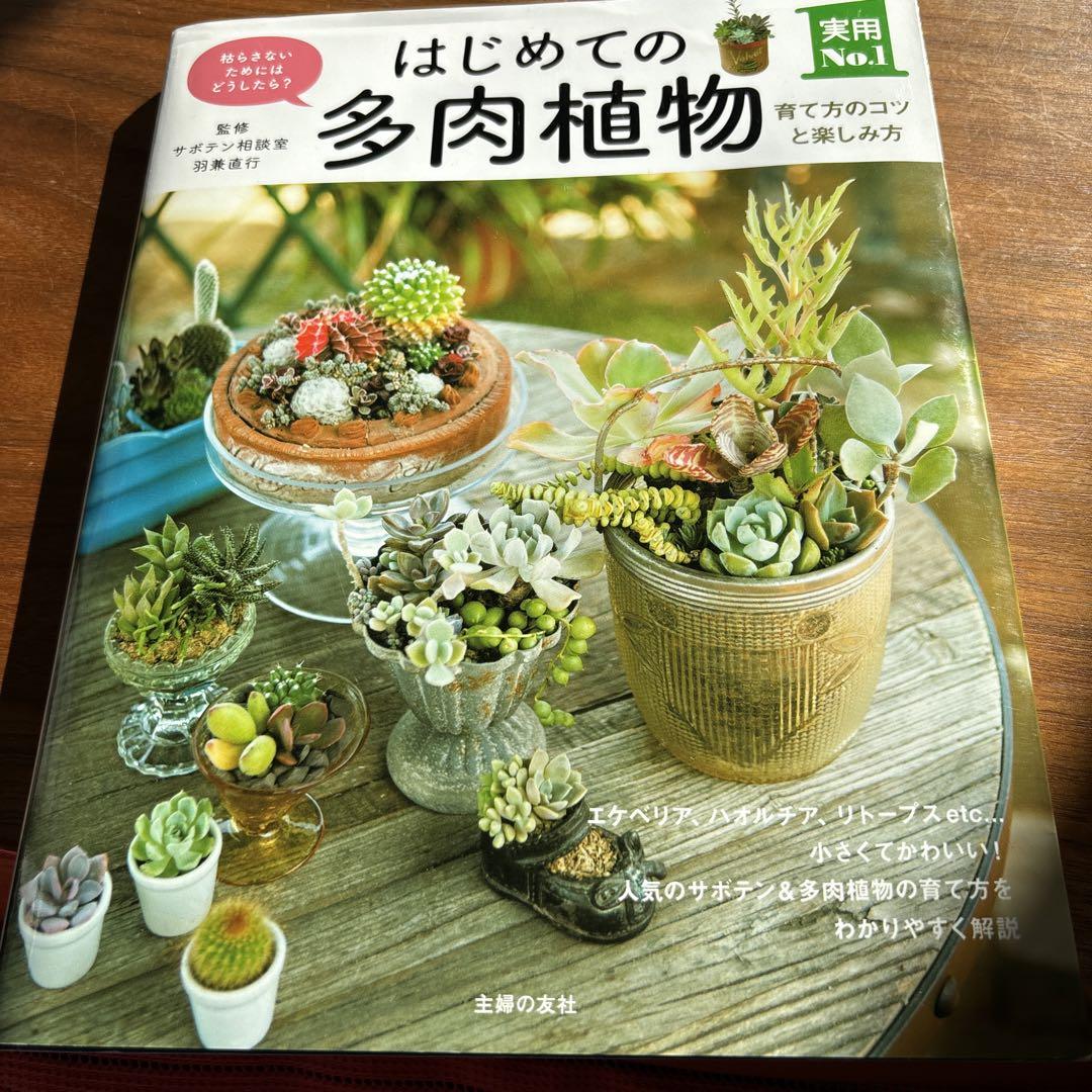 はじめての多肉植物 育て方と楽しみ方 フリートライアル