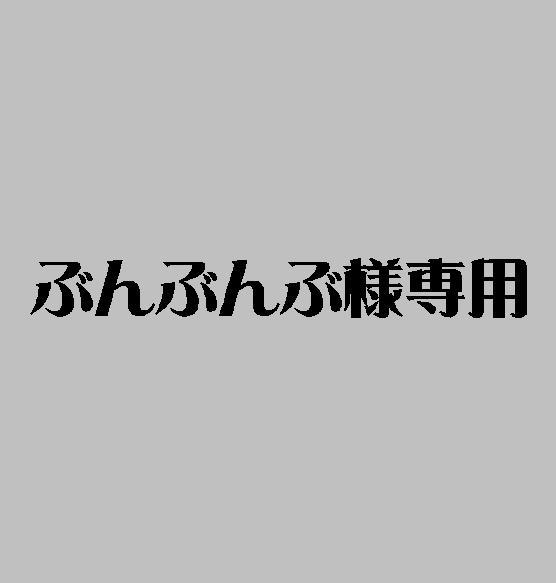 ぶんぶんぶ様専用 特価