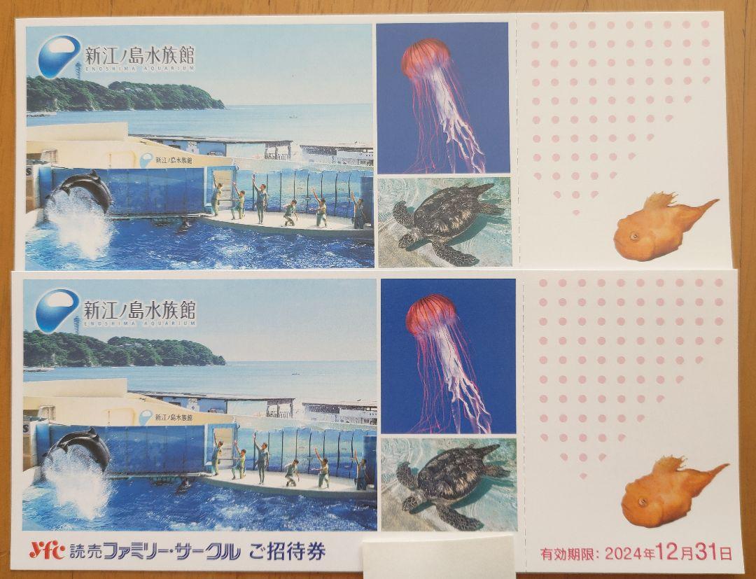 新江ノ島水族館 ご招待券 ペアチケット お届け特典