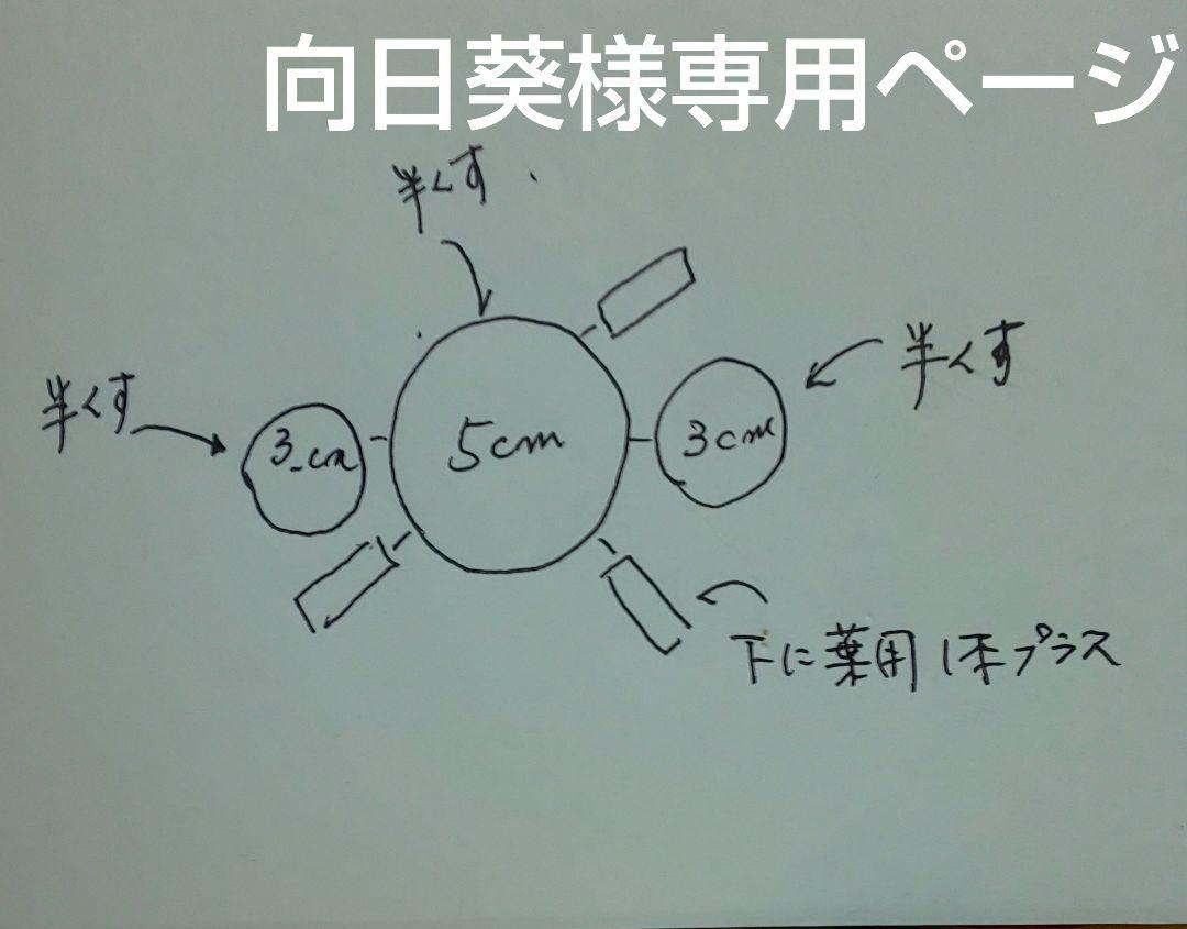 ひまわり様専用ページ 目ざとく