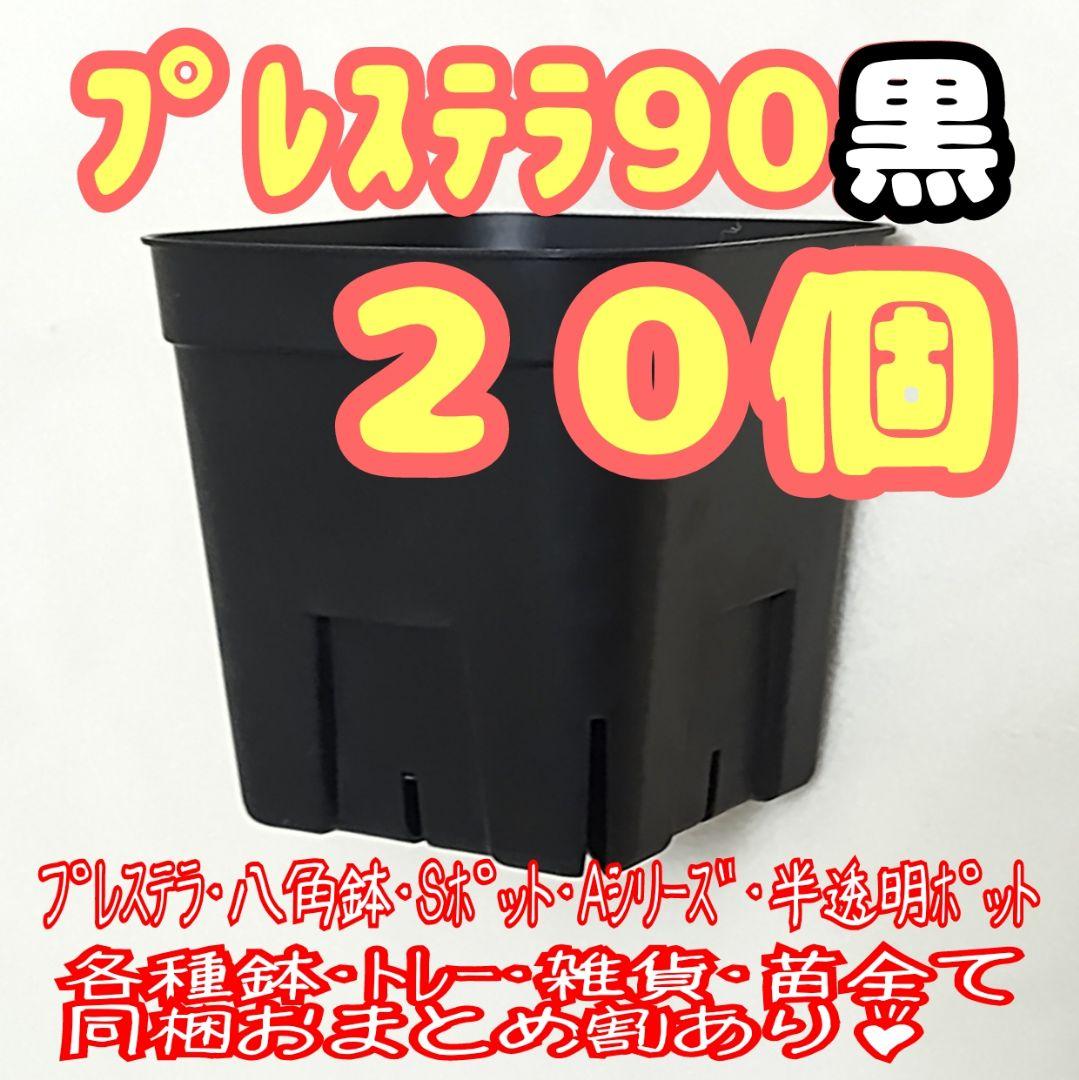 スリット鉢】プレステラ90黒20個 魅力 多肉植物 プラ鉢8