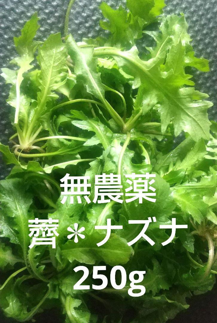 無農薬 天然野菜 バリュー ナズナ 採れたて新鮮荠菜