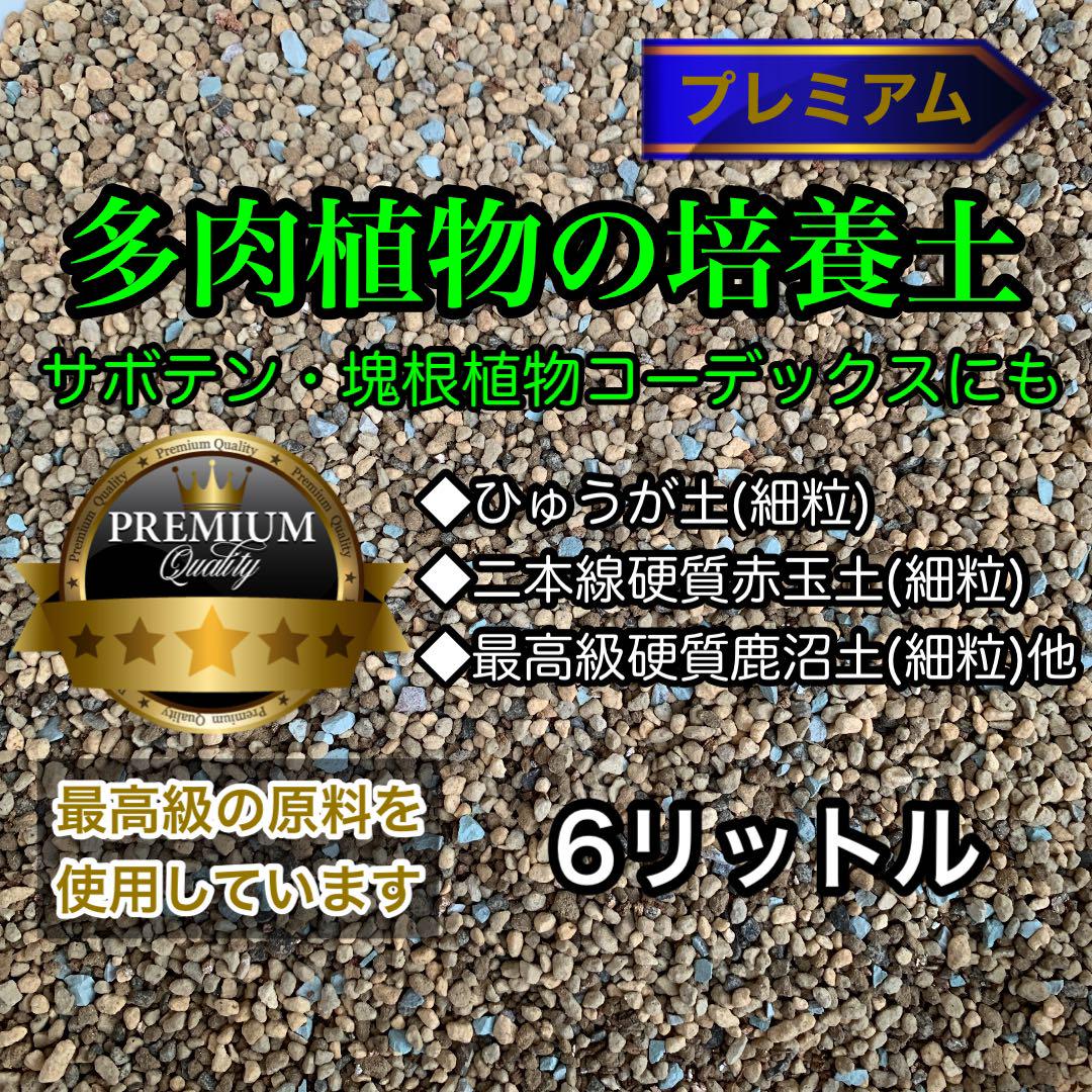 多肉植物の土 サボテンの土 多肉植物用土 塊根植物の土 プレミアム チョイス