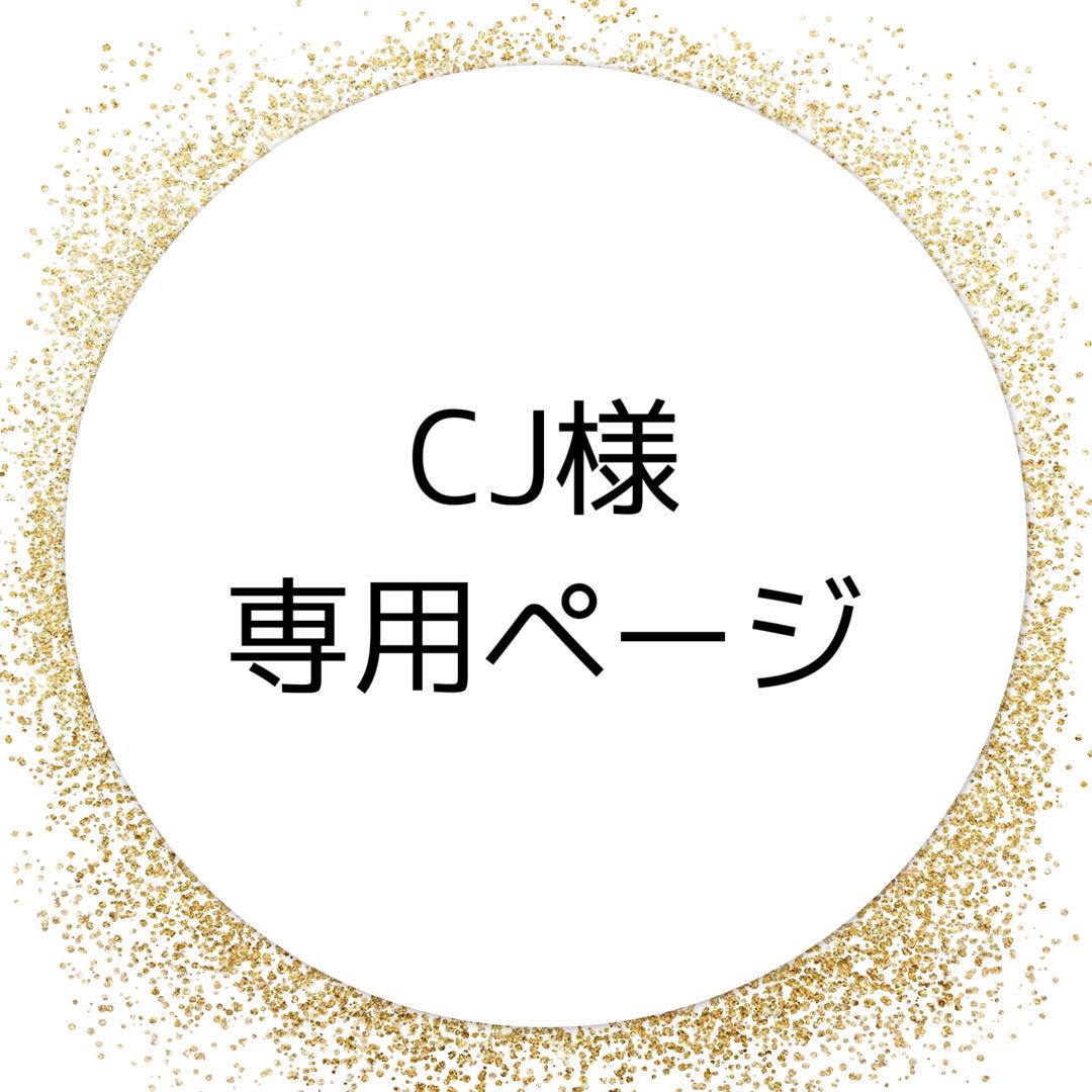 CJ様専用ページ そしじ 書道 手書き 公式 習字 筆文字