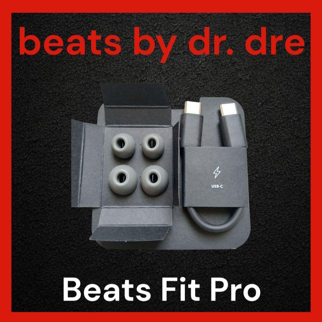 Beats Fit Pro セージグレイ(グレー) イヤーピース お手頃価格 USBケーブル