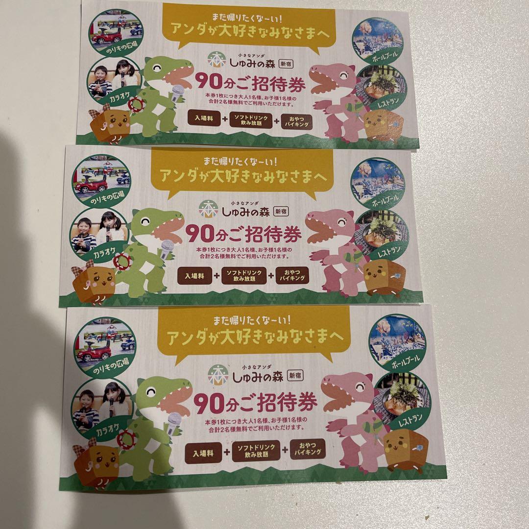 しゅみの森 90分招待券 送り返す 有効期限2024年12月20