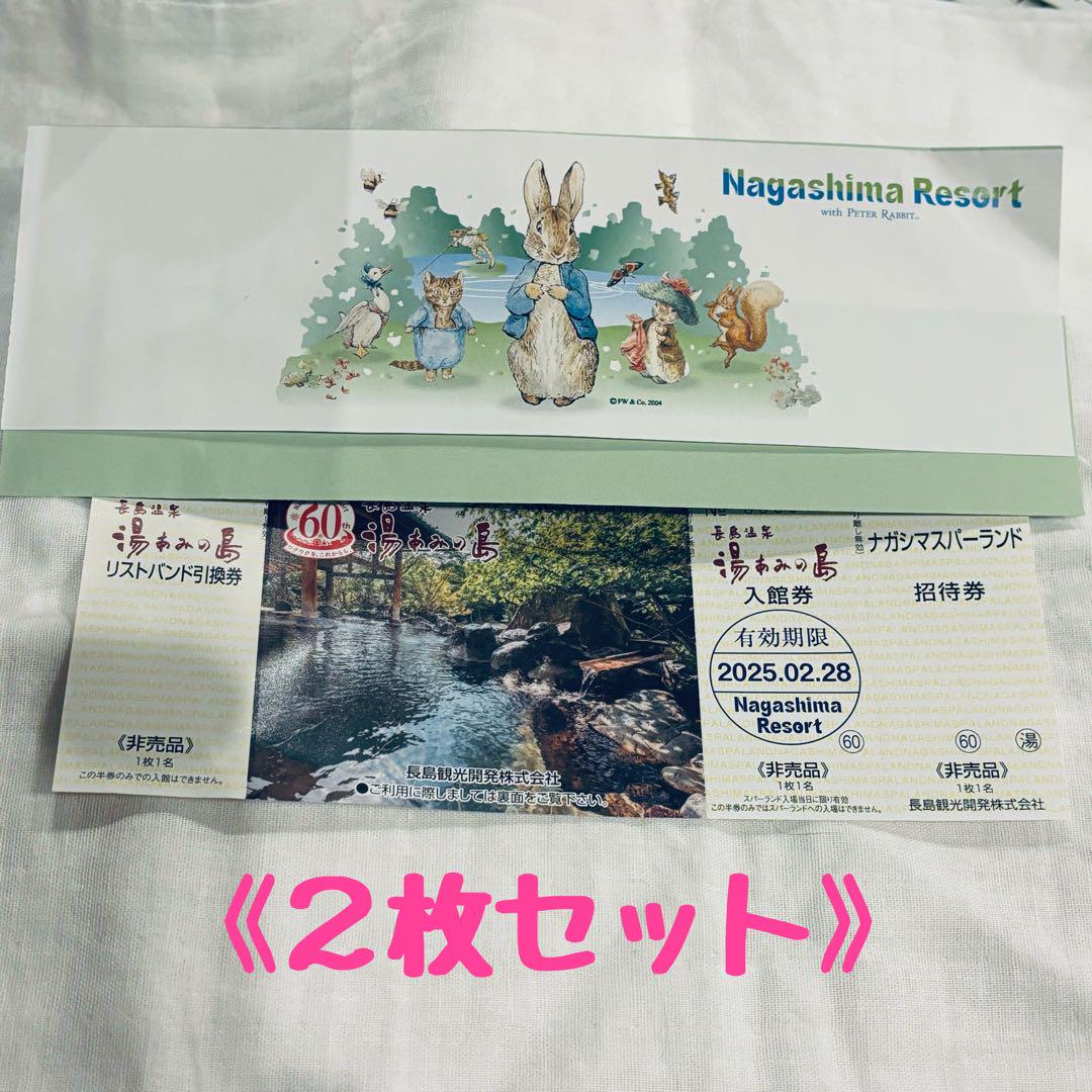 値下不可】2枚セット/長島温泉湯あみの島入館券/ナガシマスパー