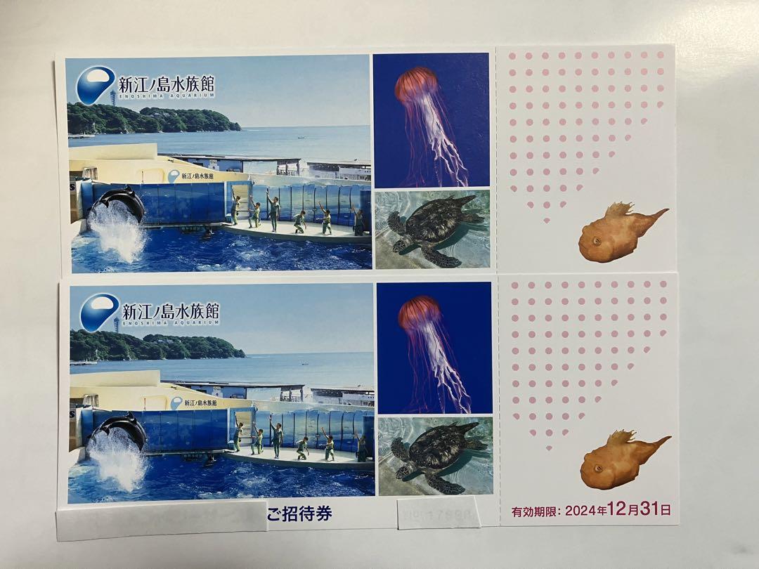 新江ノ島水族館ペアチケット12/31まで 無限大