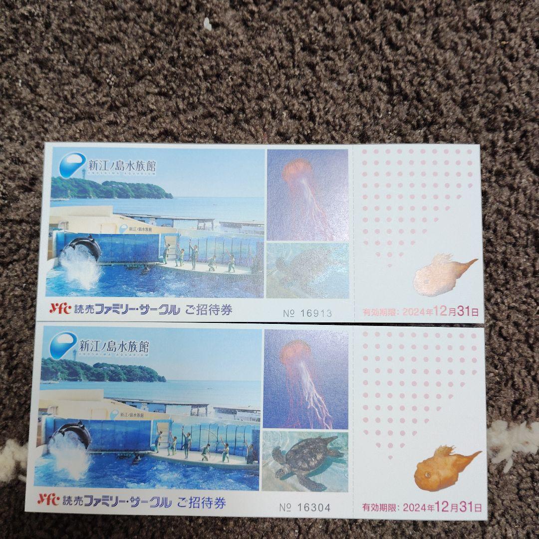 新江ノ島水族館 色付か 割引チケット 2024年12月1日〜2025年