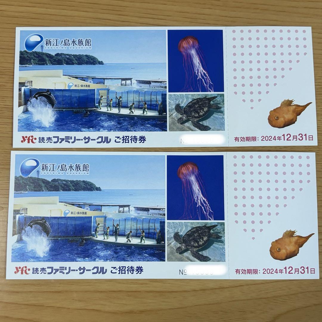 新江ノ島水族館 購入特典 招待券 2枚セット2024年12月31日