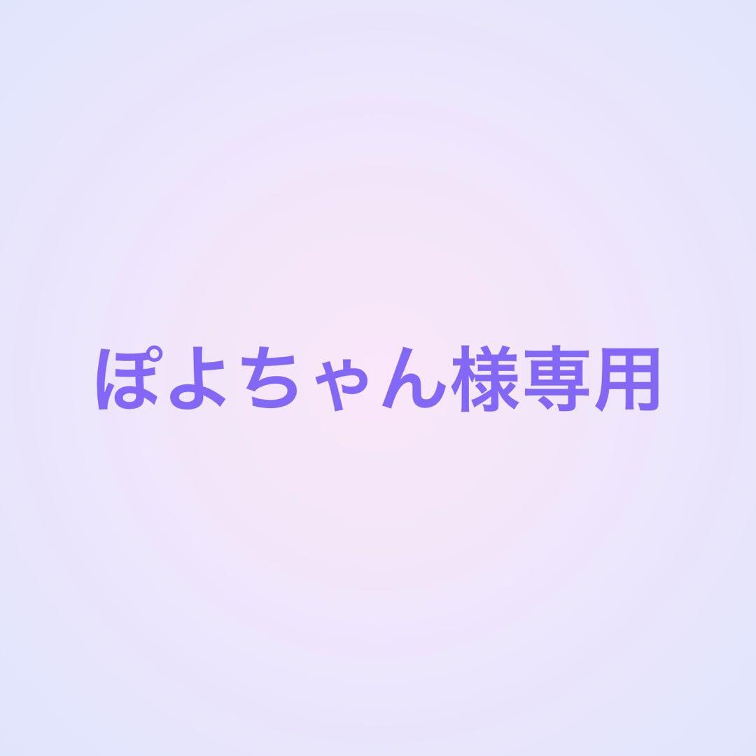 ぽよちゃん様専用 ぬいぐるみオーダー 新しく