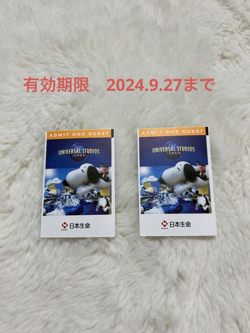 USJユニバーサル・スタジオ・ジャパンのワンデーチケット 初々しく