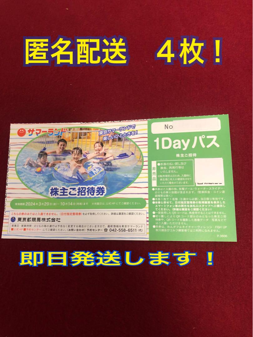 サマーランド 1day パス 夏券 ４枚 株主優待 フリーパス チケット 騒々しい