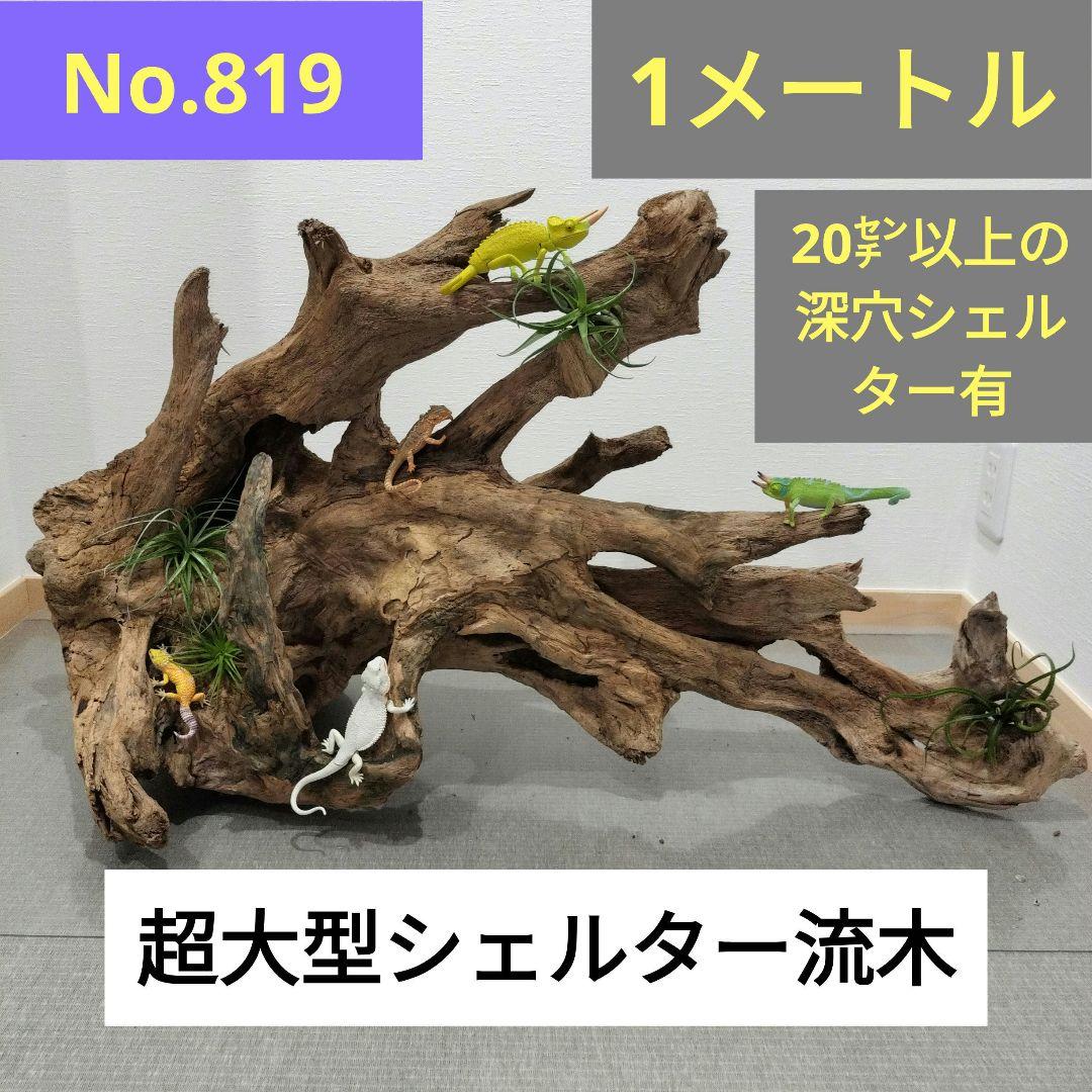 No.819】超大型シェルター流木 爬虫類レイアウト✫インテリア✫置物✫ 気まずく