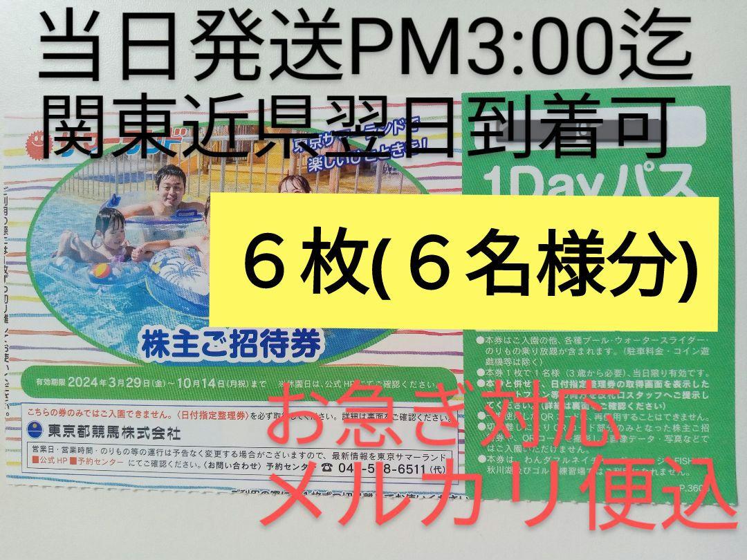 ⬛急ぎ対応☆サマーランド株主優待券☆6枚セット☆メルカリ便込