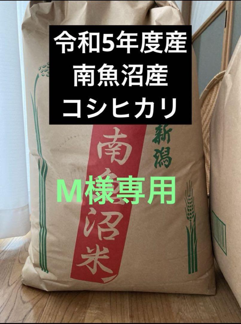 M様専用 令和5年度産 コシヒカリ玄米30キロ2袋