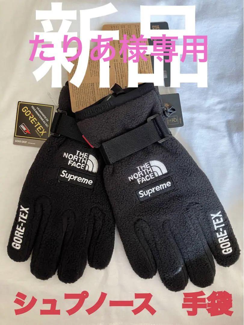 THE のぞん NORTH FACE Supreme GORE-TEX 手袋