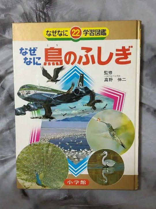SF美術館