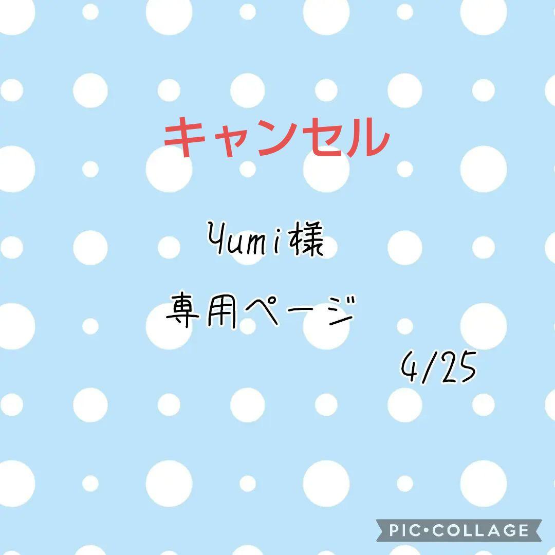 4/25 Yumi様専用