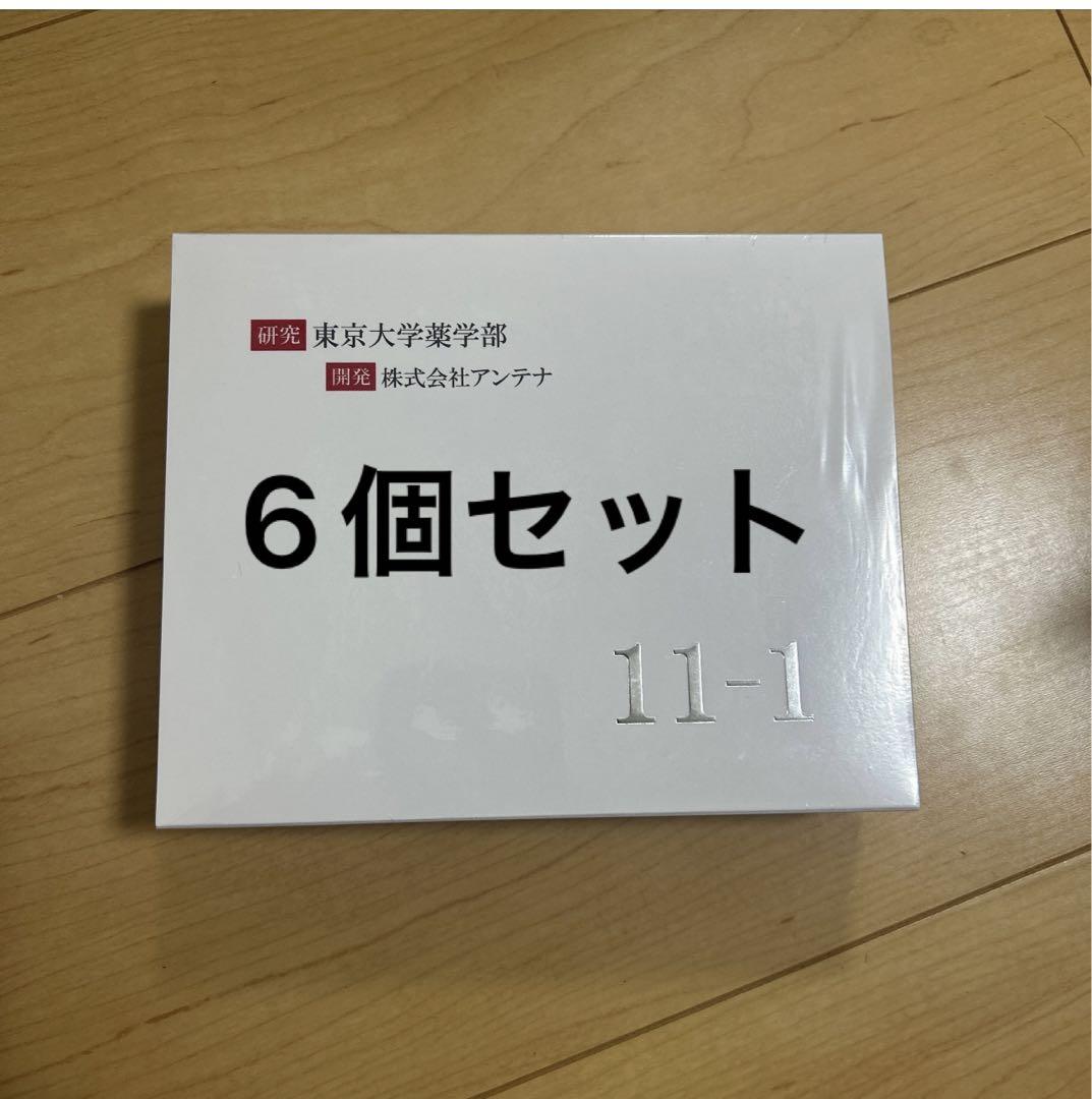 11-1 精し 乳酸菌 いちいちのいち 正規品 6個セット