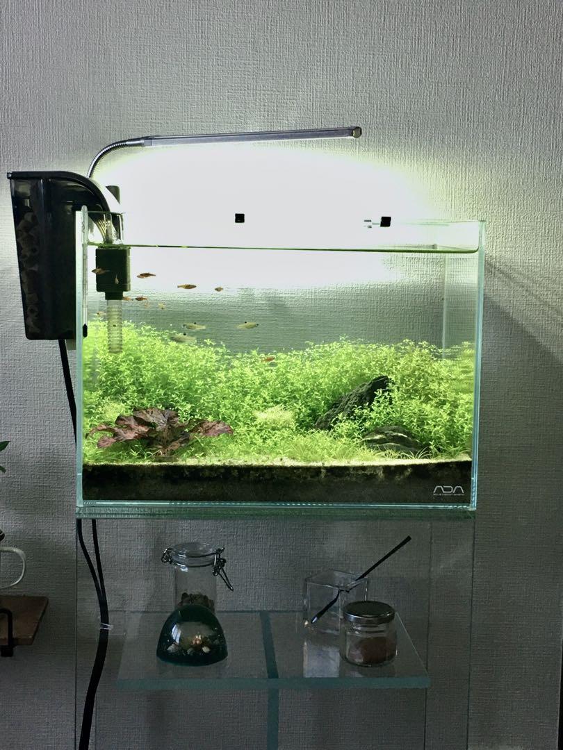 ADA CUBE GARDEN ガラス水槽 30cm - メルカリ