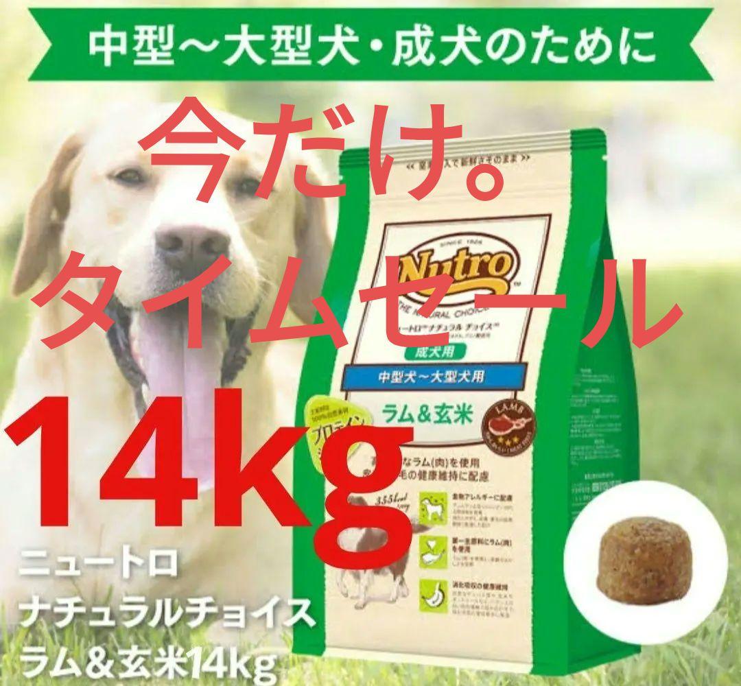 ニュートロナチュラルチョイス ラム＆玄米 中型犬〜大型犬 成犬用 14 kg