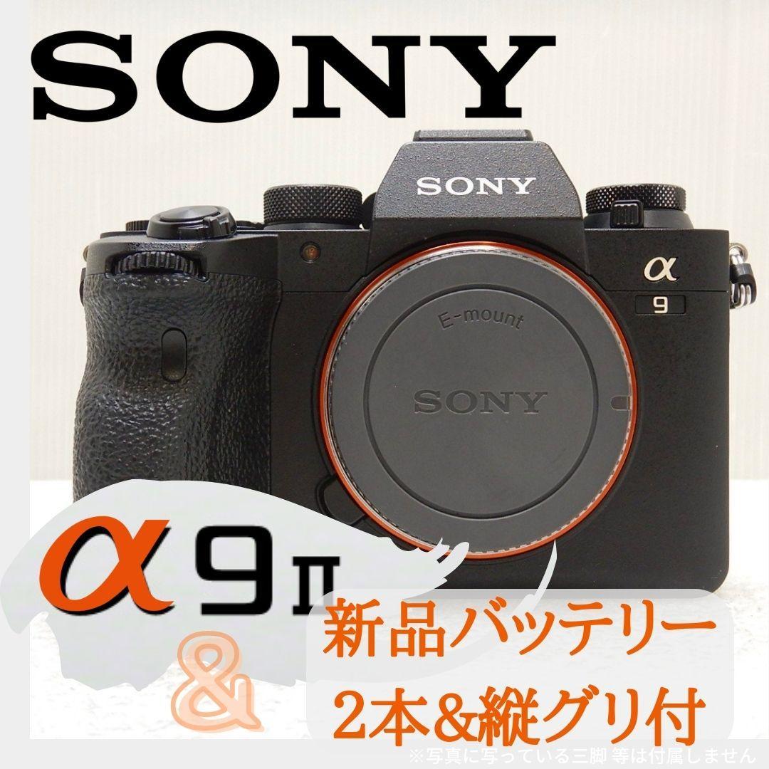 新品バッテリー２本付 フルコース点検済】ILCE-9M2 α9ii sony