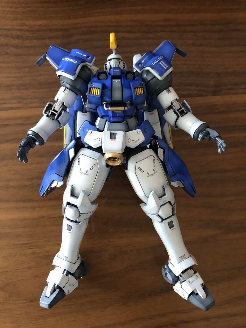 バンダイ [プレバン]【MG】トールギスⅡ 改修・塗装 完成品 GUNDAM 儚く