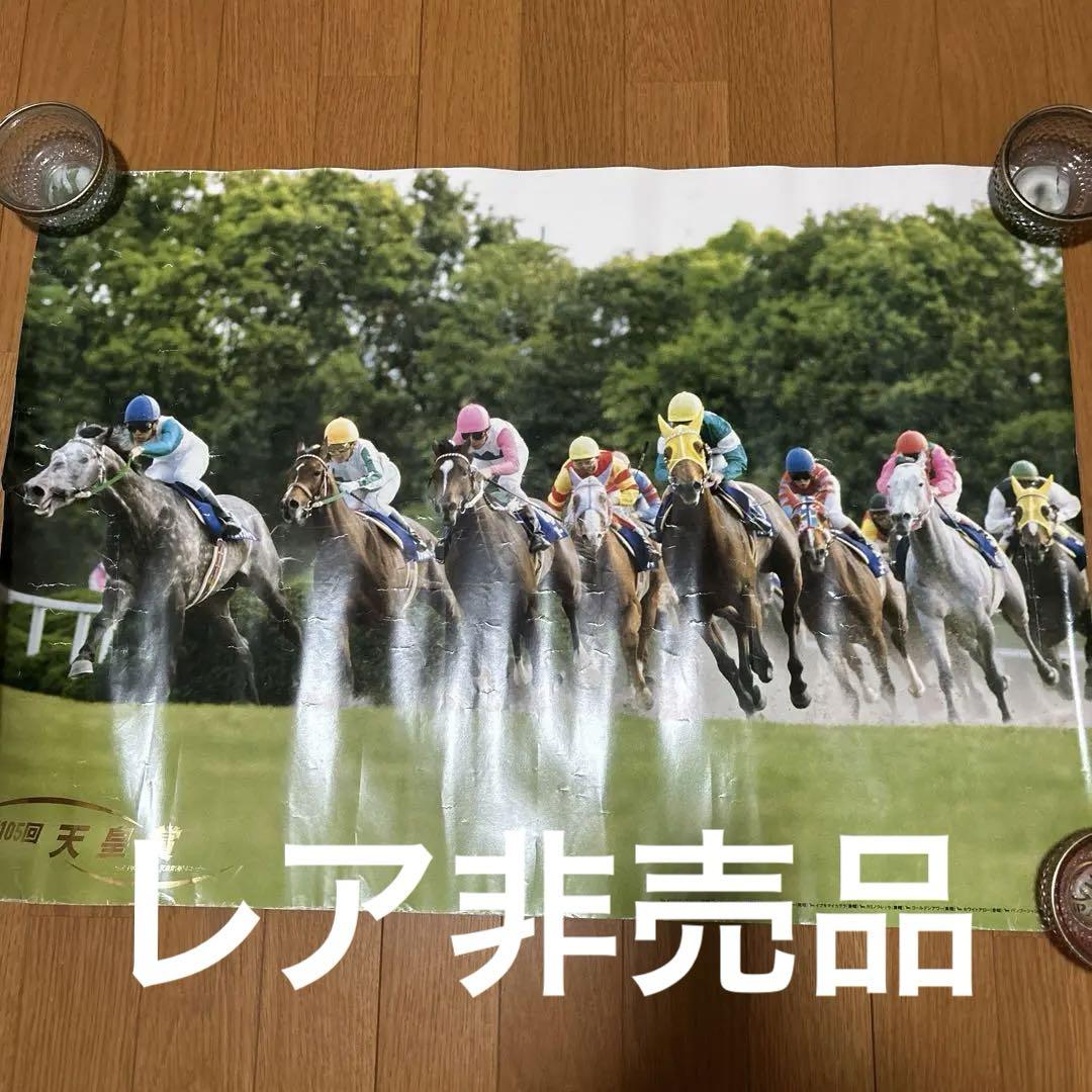 激レア）（非売品）第105回天皇賞ポスター・競馬・メジロマックイーン他