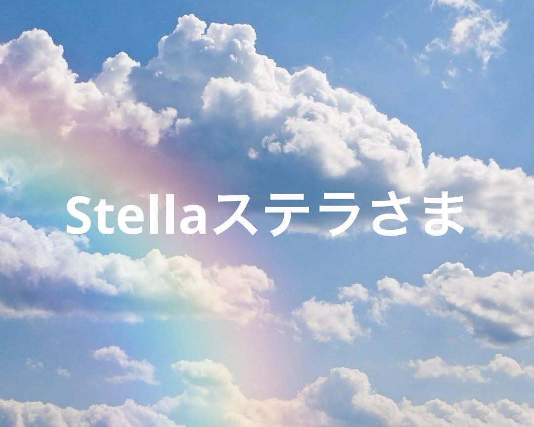 Stellaステラ 様 vラナン カバン