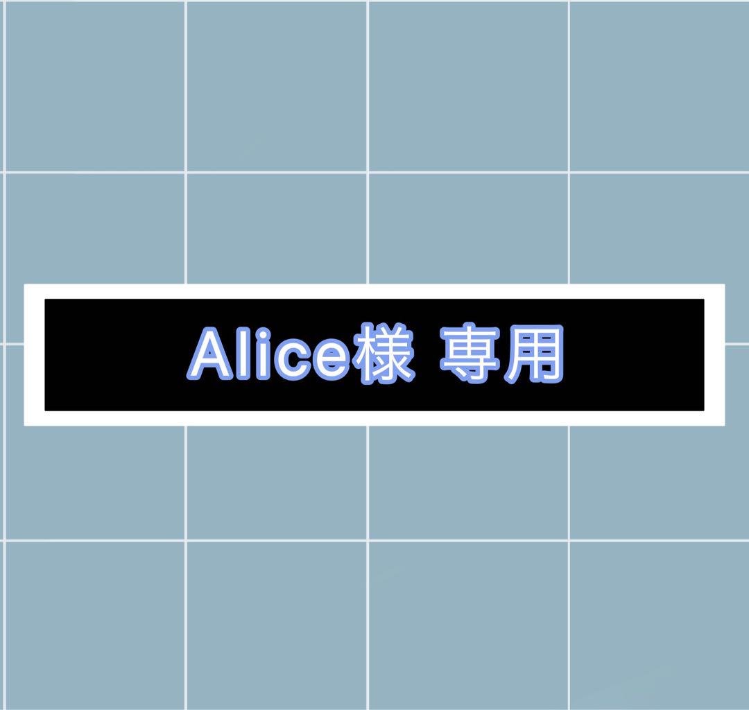 Alice様 格好よい 専用ページ