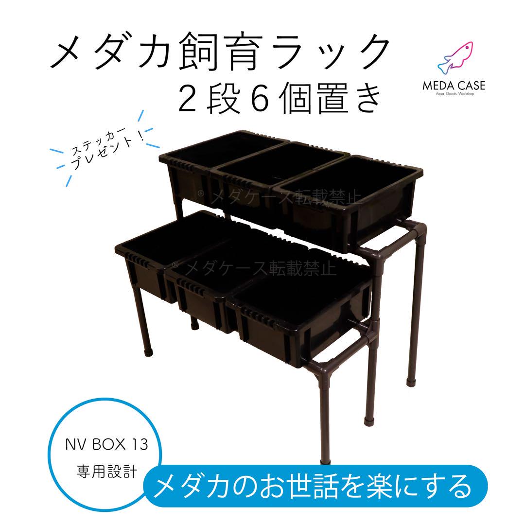 メダカ飼育ラック 2段6個 NV専用設計 めだか 棚 盆栽 庭 多肉 メダケース