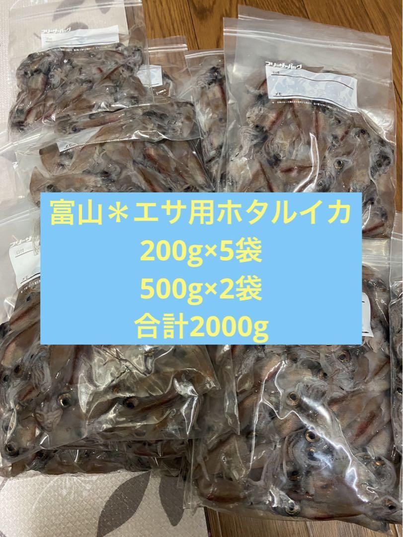 Tomo様専用＊富山ホタルイカ7kg 厚い