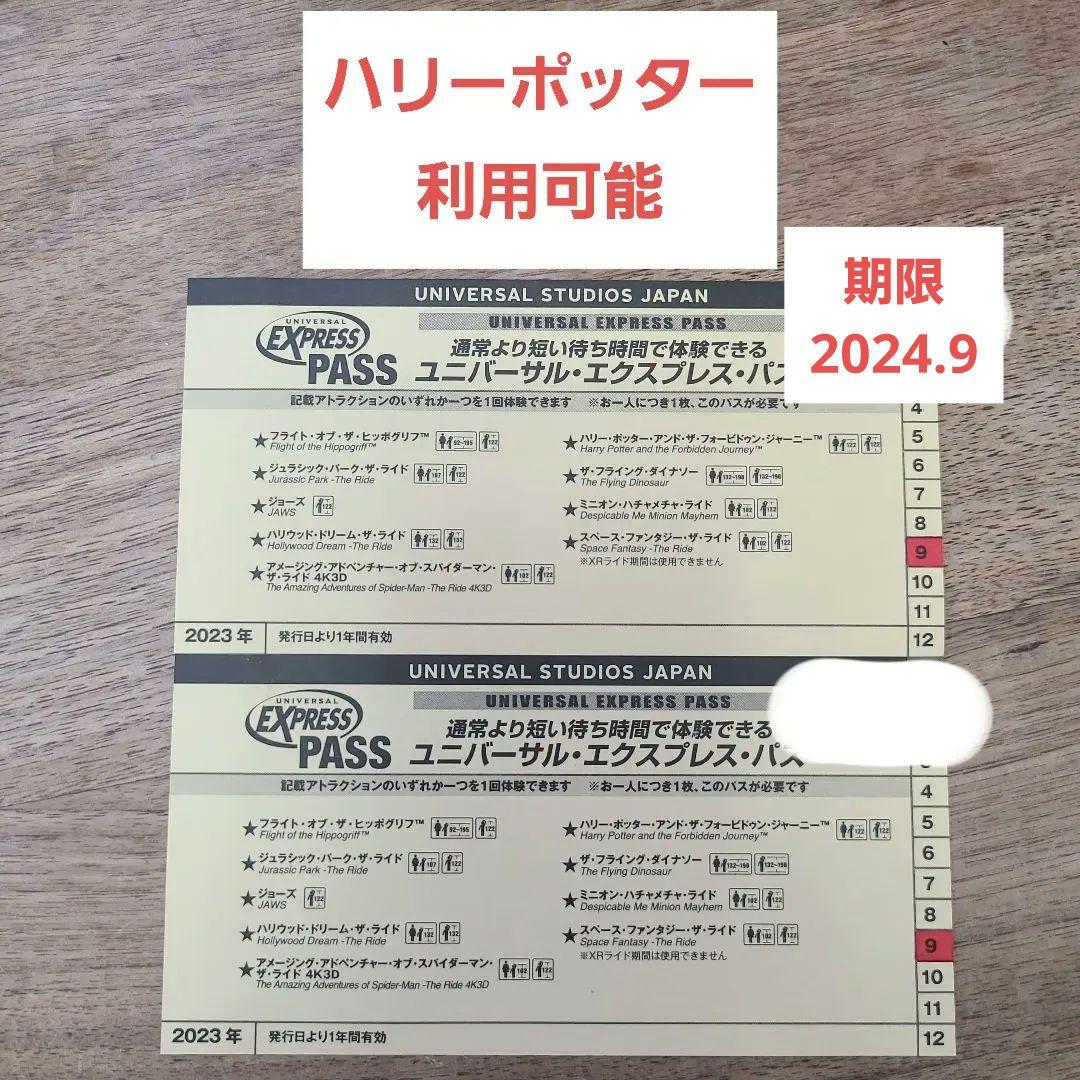 USJ エクスプレスパス 2枚