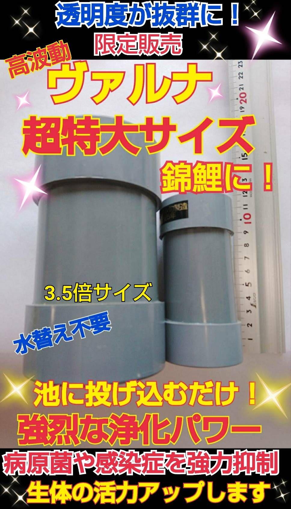 池用☆特大ヴァルナ 池の水を800トン浄化！有害物質を強力