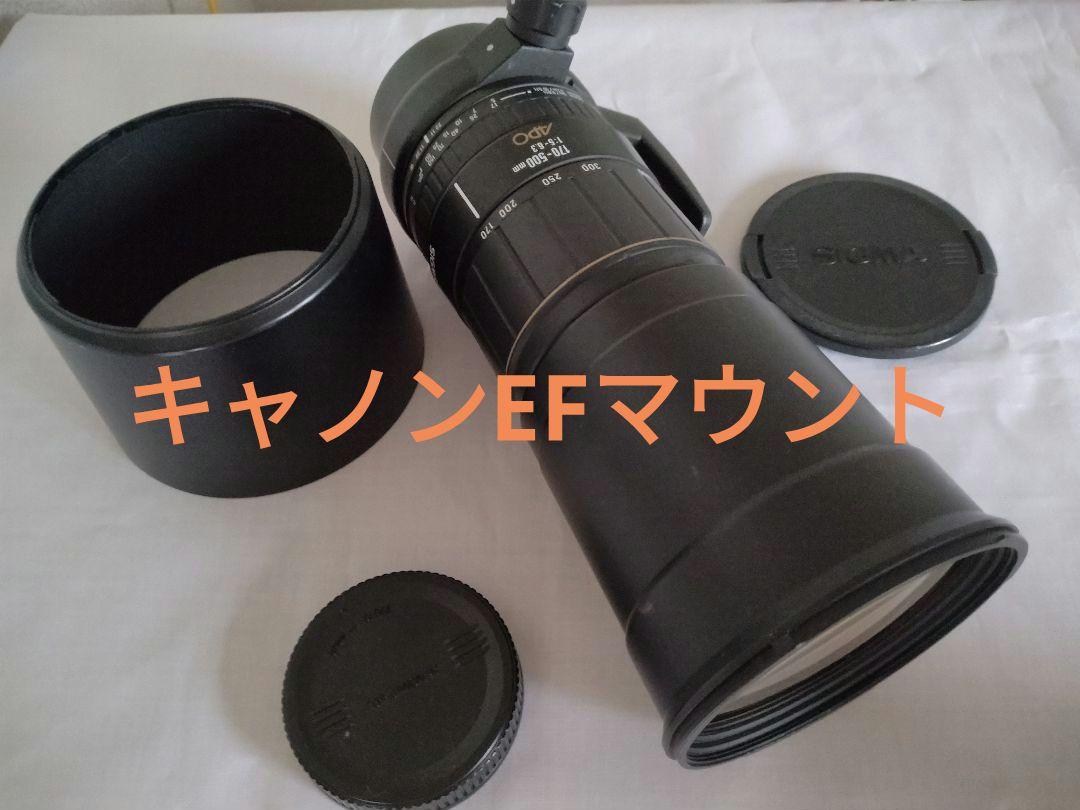 シグマ APO 170-500mm 望遠レンズ キャノンEF