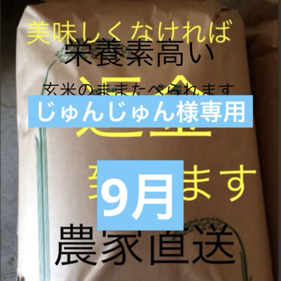 9 じゅんじゅん様専用 新米農薬無しこしひかり30㎏ 精米