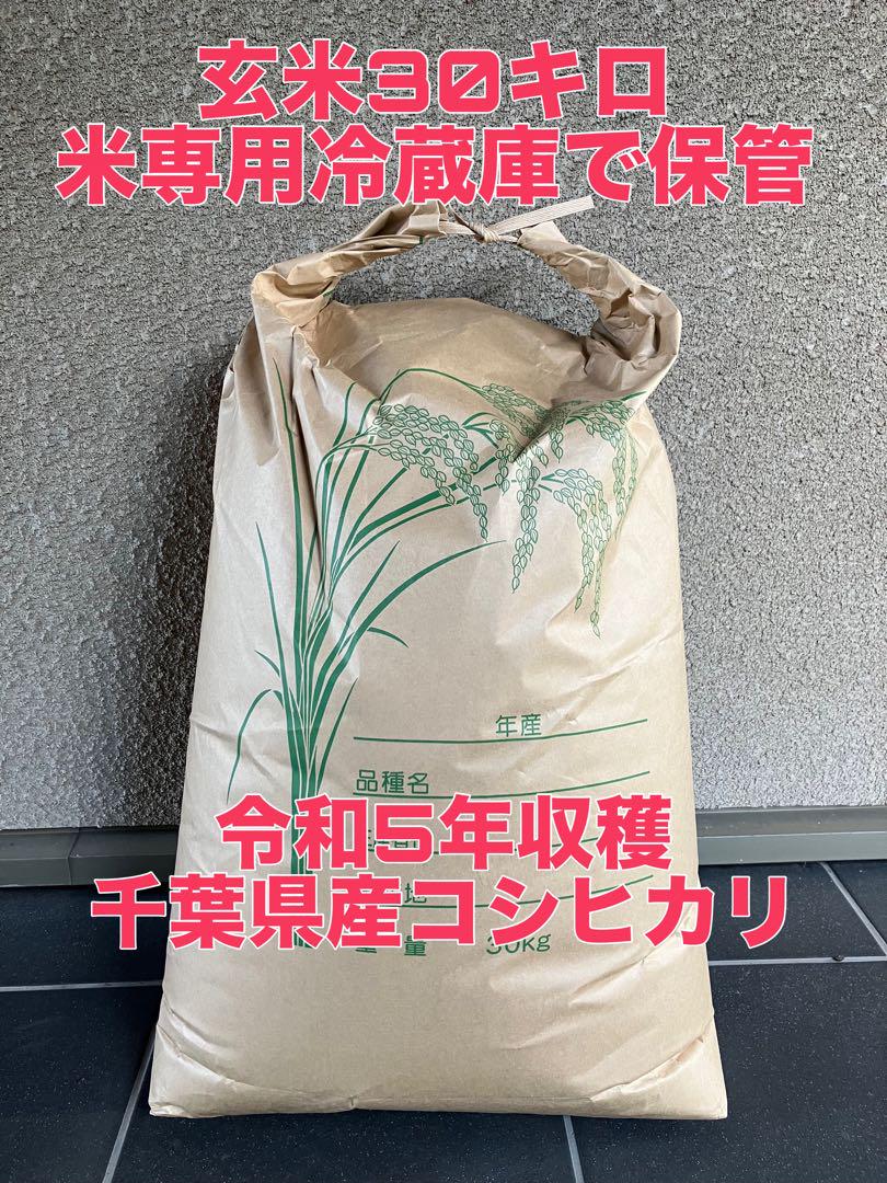 玄米30キロ○令和5年収穫○千葉県産コシヒカリ○米