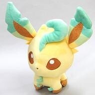 中古ぬいぐるみ リーフィア ポケモンドールズ ぬいぐるみ 「ポケットモンスター」 ポケモンセンター限定 売買されたオークション情報 落札价格 【au  payマーケット】の商品情報をアーカイブ公開