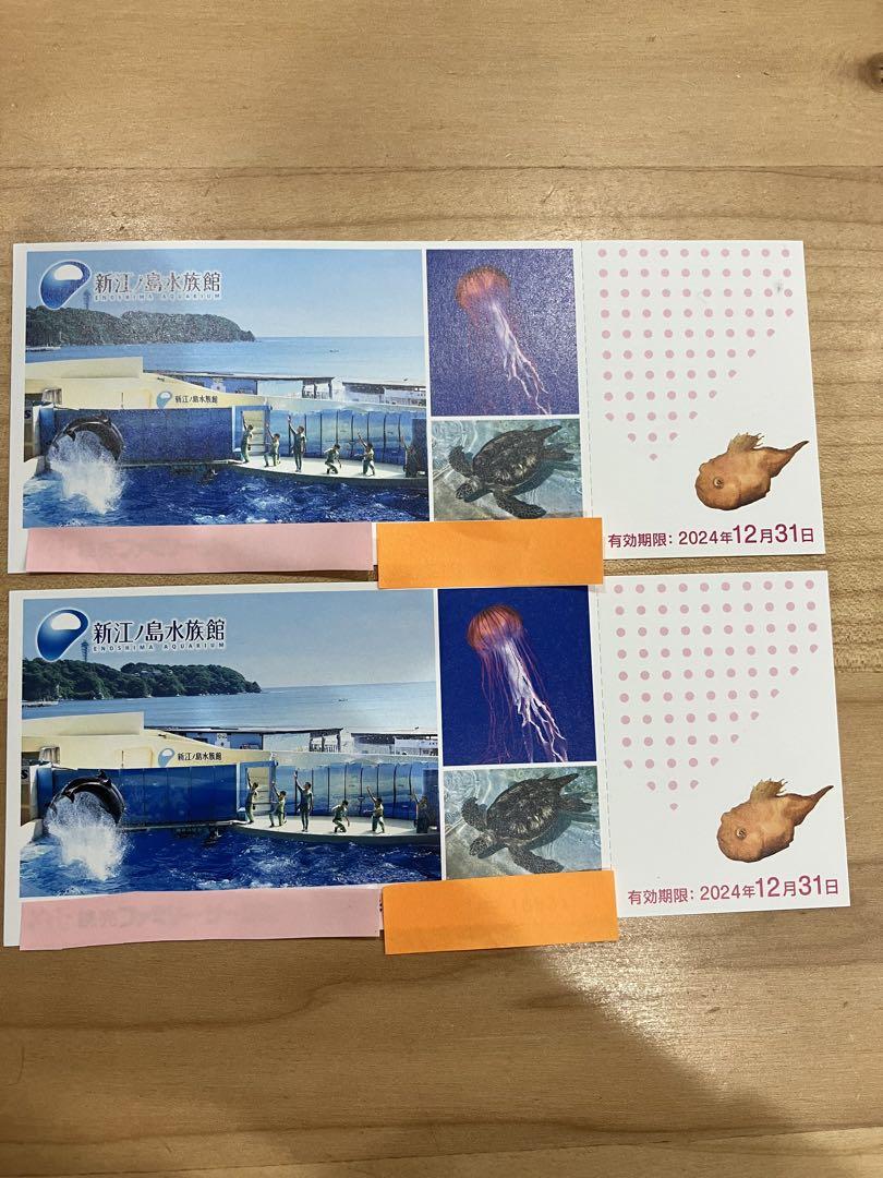 新江ノ島水族館 入場券 2枚セット 有効期限2024年12月31日 売買されたオークション情報 落札价格 【au  payマーケット】の商品情報をアーカイブ公開