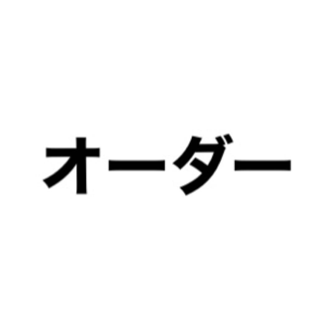 購入前にコメントとプロフ確認お願いします様専用