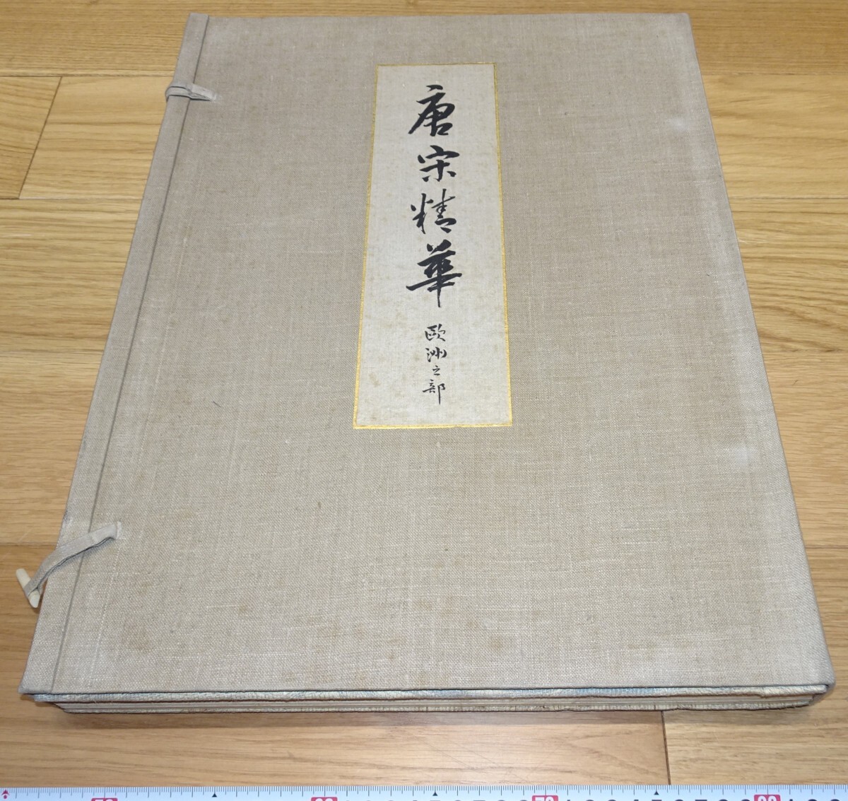 太尾芳生「寒牡丹」8号 日本画 額装品 一枚の絵 静物画 とげとげしく 岩彩画 売買されたオークション情報 落札价格 【au  payマーケット】の商品情報をアーカイブ公開